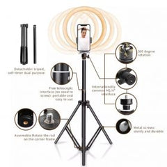 26 CM Professional LED Ring Light With 7 FT Tripod Stand